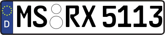 MS-RX5113