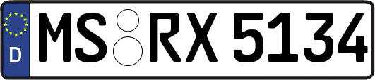 MS-RX5134