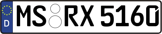 MS-RX5160