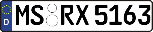 MS-RX5163