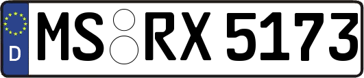 MS-RX5173