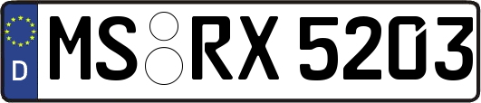 MS-RX5203