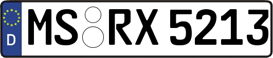 MS-RX5213