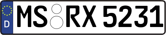 MS-RX5231