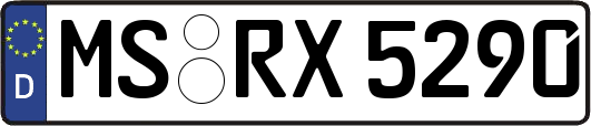 MS-RX5290