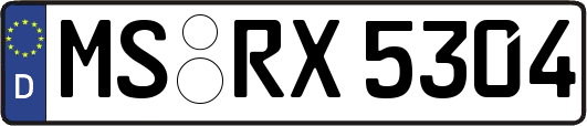 MS-RX5304