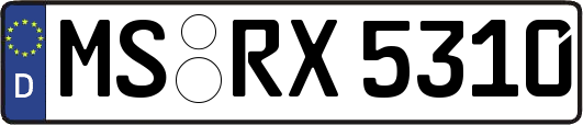MS-RX5310