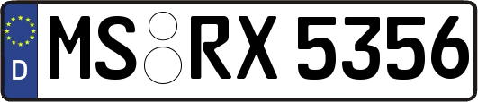 MS-RX5356