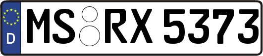 MS-RX5373