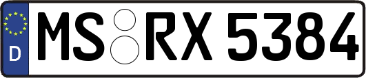 MS-RX5384