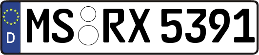 MS-RX5391