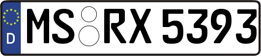 MS-RX5393