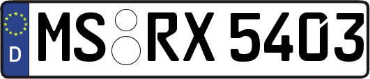 MS-RX5403