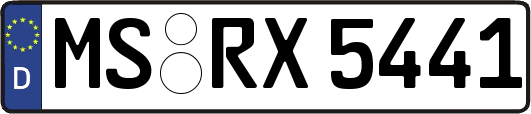 MS-RX5441