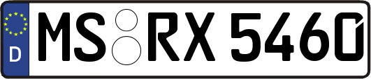 MS-RX5460