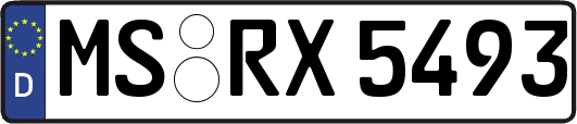 MS-RX5493