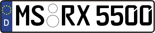 MS-RX5500