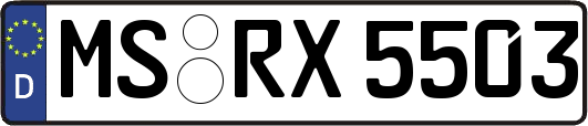 MS-RX5503