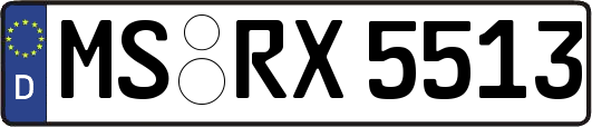 MS-RX5513