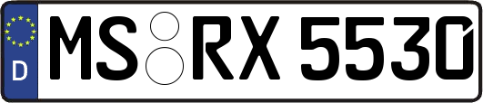 MS-RX5530