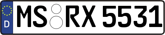 MS-RX5531