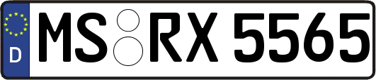 MS-RX5565