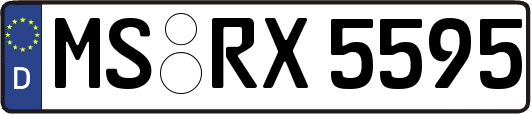 MS-RX5595
