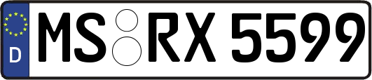 MS-RX5599