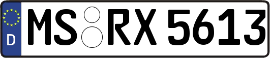 MS-RX5613
