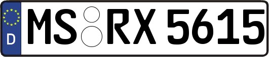 MS-RX5615