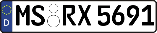 MS-RX5691