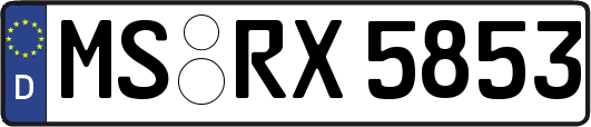 MS-RX5853