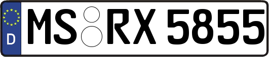 MS-RX5855