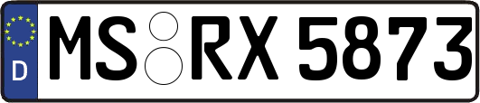 MS-RX5873