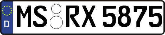 MS-RX5875