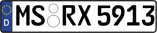 MS-RX5913