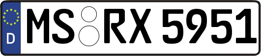 MS-RX5951