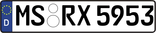 MS-RX5953