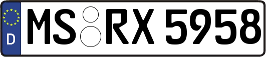 MS-RX5958