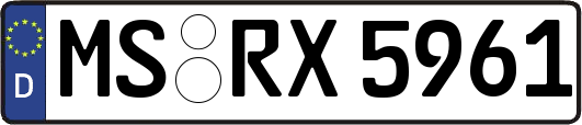 MS-RX5961