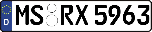 MS-RX5963