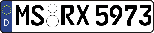 MS-RX5973