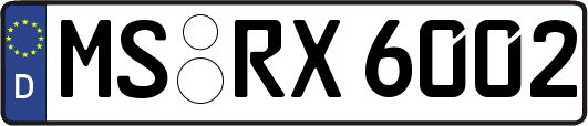 MS-RX6002
