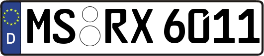 MS-RX6011