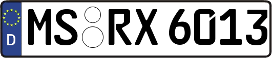 MS-RX6013