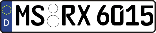 MS-RX6015