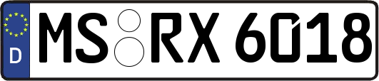 MS-RX6018