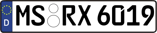 MS-RX6019
