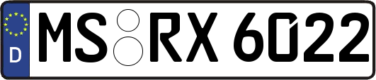 MS-RX6022