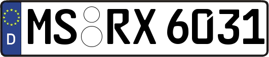 MS-RX6031